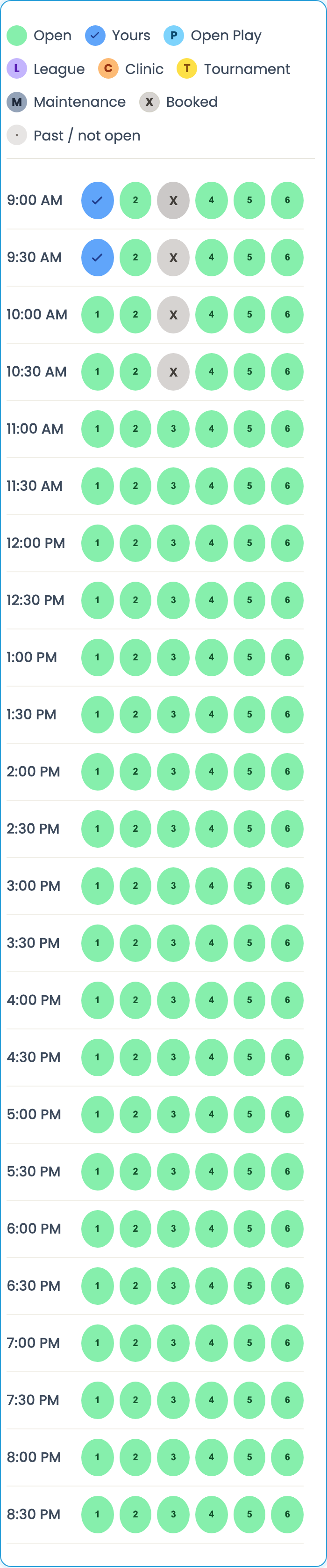 Phone court calendar Day view with color key badges and numbered Open slots